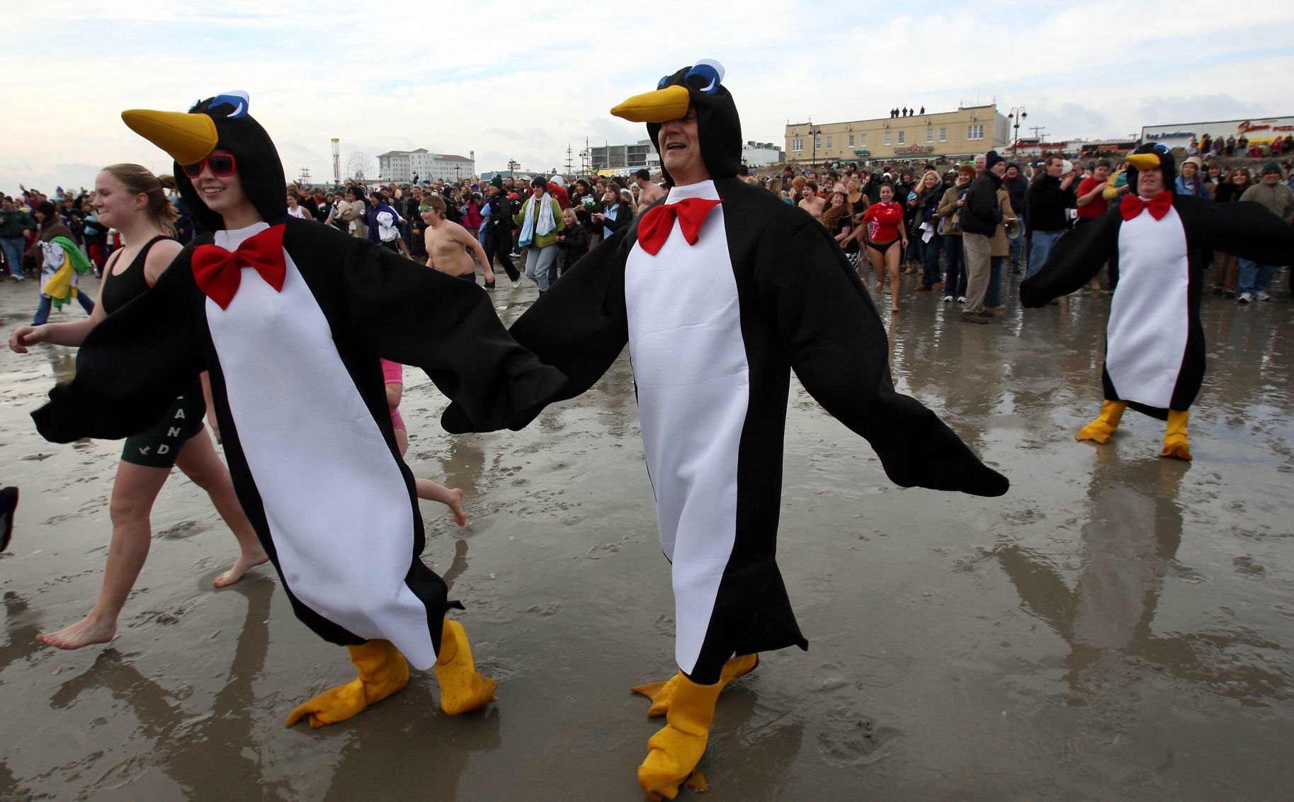 Ocean City Plunge